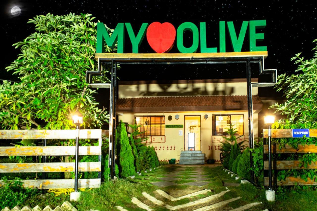 Olive Resort - Sillari Pench Silāri Exterior foto